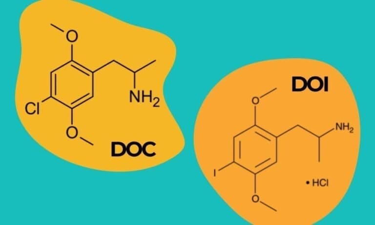 DEA Judge Sides With Agency On Proposal To Ban Two Psychedelics Despite Challenge From Scientific Researchers