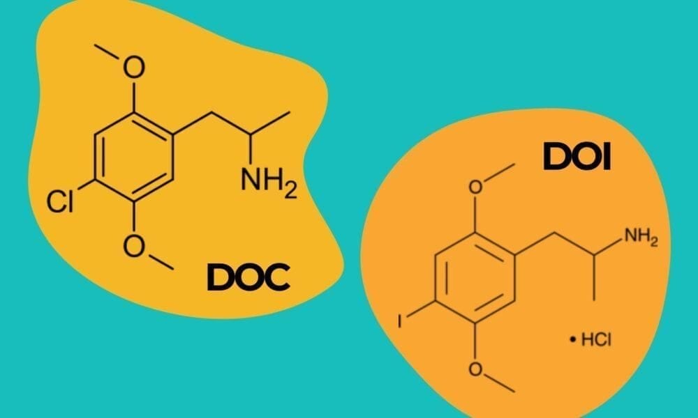 DEA Judge Sides With Agency On Proposal To Ban Two Psychedelics Despite Challenge From Scientific Researchers
