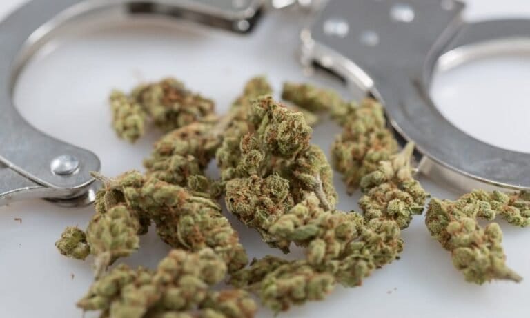 Maryland Governor Marks Juneteenth With Another Mass Marijuana Pardon For Nearly 7,000 People