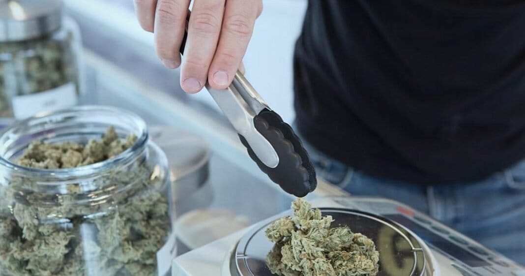 US Voters Still Backing Serious Cannabis Reform