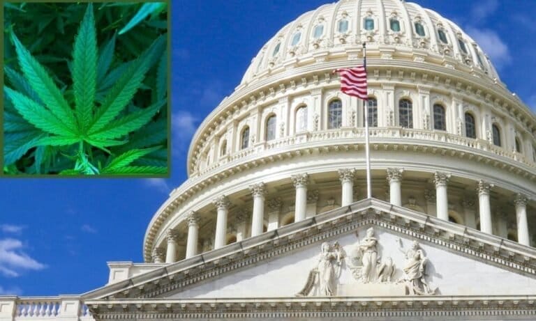 Fentanyl Criminalization Bill Headed To Trump’s Desk Also Makes It Easier To Study Marijuana, Congressman Says
