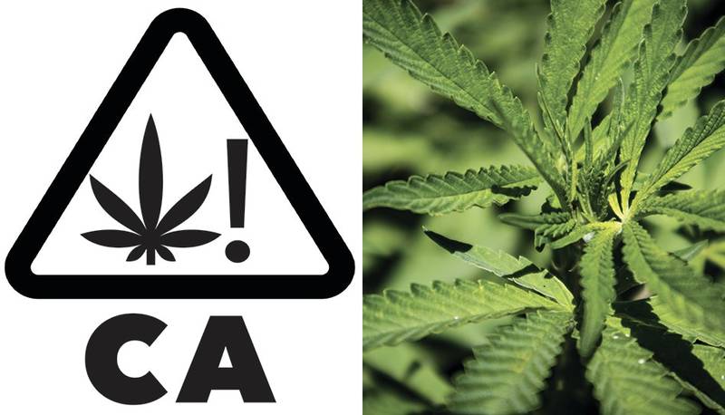 California Public Health Department Aims to Make Hemp THC Ban Permanent