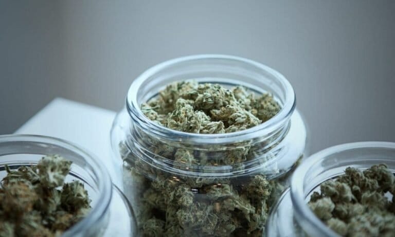 California Bill To Delay Marijuana Tax Hike Is Set To Get A Vote On Assembly Floor This Week