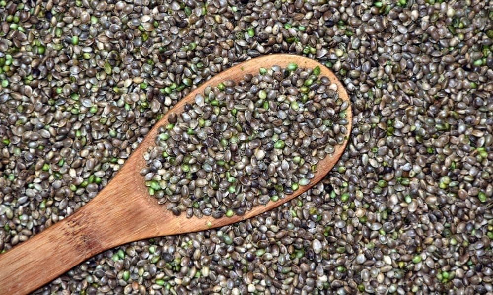 Cannabis Seeds Launched To Orbit By SpaceX Crash Into Sea, Setting Back Mission To Grow Marijuana On Mars - MEDCAN24