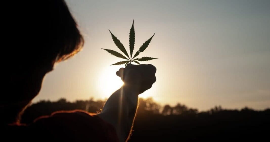 Proposed Revised Hemp Definition Creates Backlash