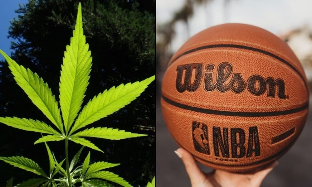 Sports Fans Welcome Cannabis Brand Sponsorships For Teams In Professional Leagues Like NFL, NBA And MLB, Poll Shows