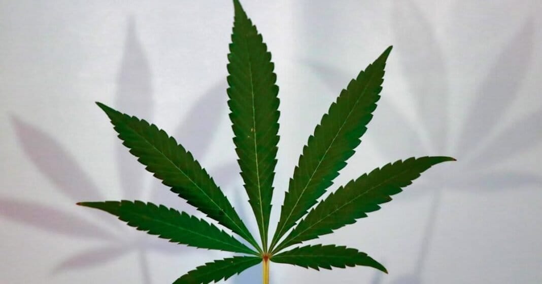 Expanded Medical Cannabis Access In Texas Signed Into Law