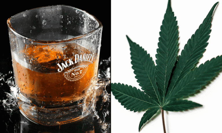 Legalizacja marihuany wywiera "presję" na przemysł alkoholowy, dyrektor generalny spółki dominującej Jack Daniel's mówi o stratach zysków